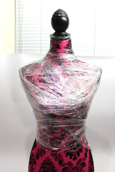 torso