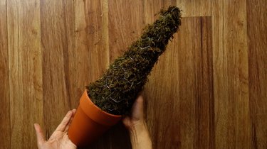 Chicken wire and sphagnum moss topiary cone form in terra cotta pot.