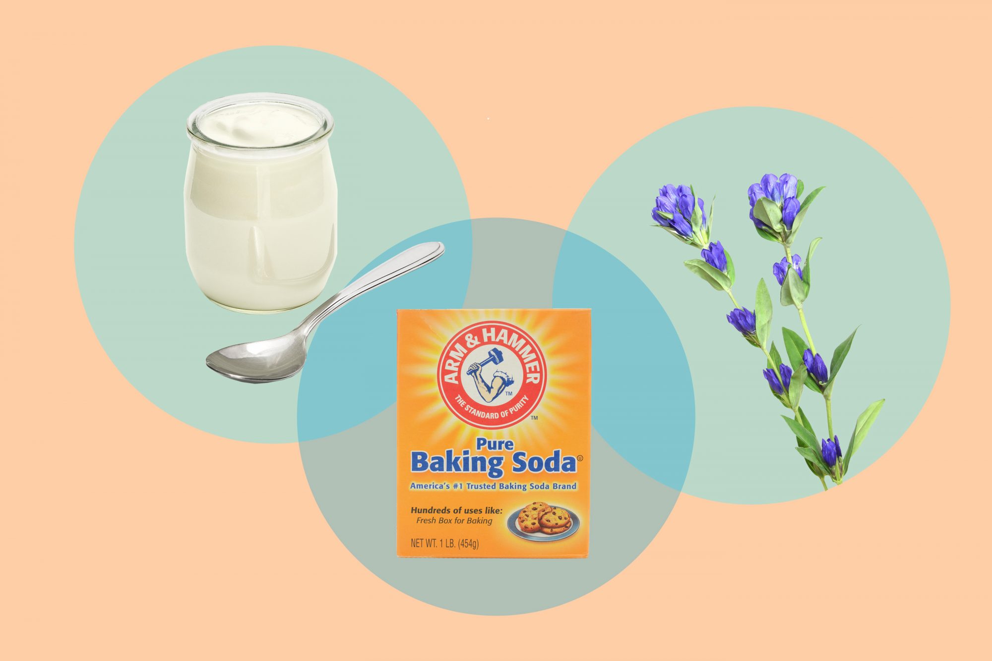 probiotic yogurt, baking soda, gentian violet