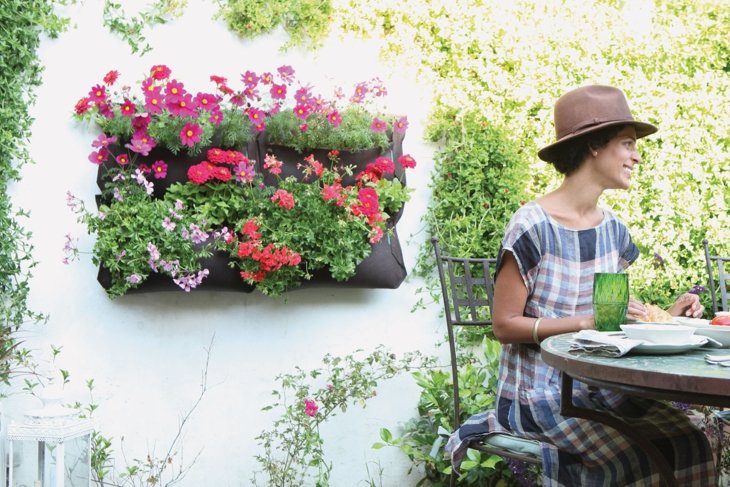 Living Walls
