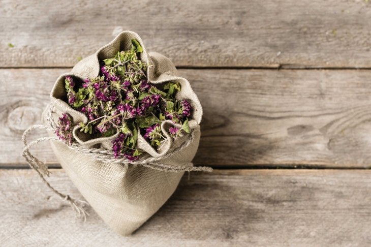 Herb Saver\'s How-To