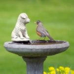 E-news-Mar1-birdbath-300×200.jpg