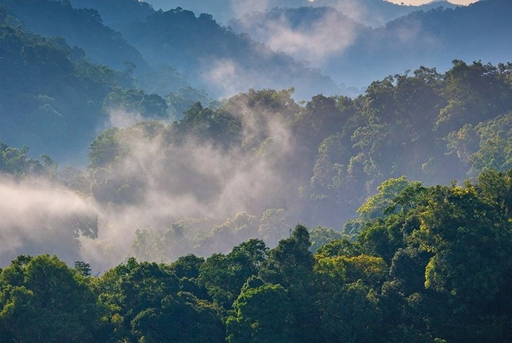 Preserving Nature’s Pharmacy
